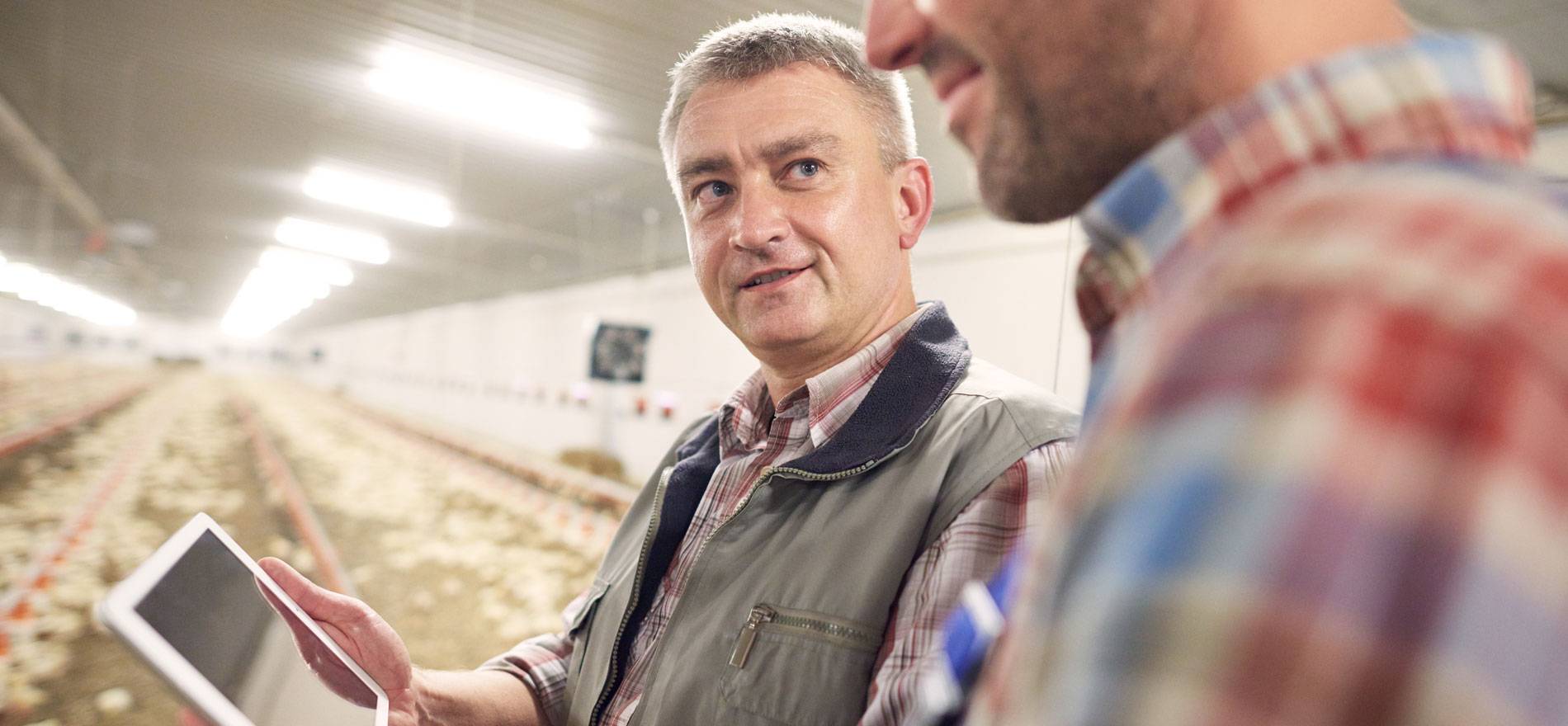 GEG - fachlich begleitet GEG - fachlich begleitet